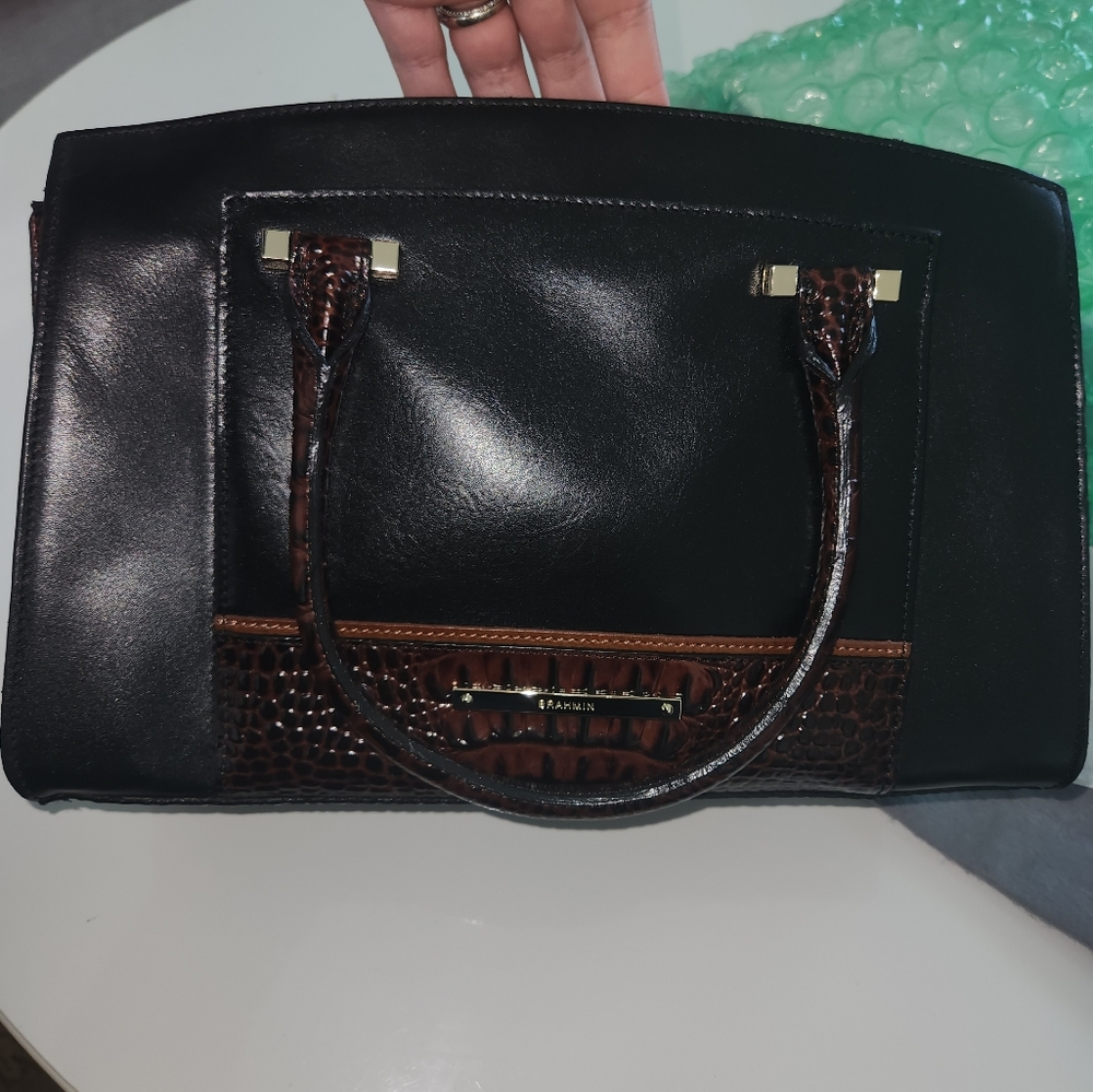 Brahmin - Picture 7 of 7